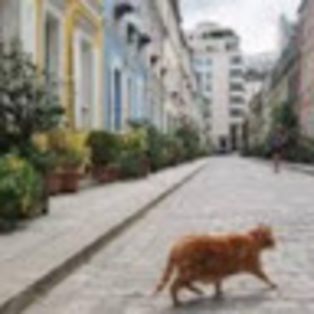 Meet your Posher, Melissa